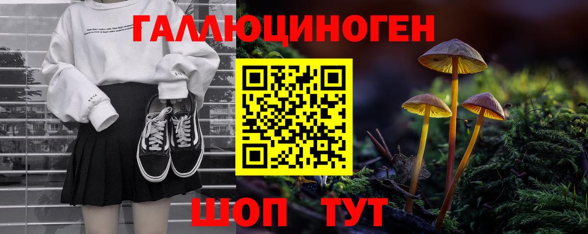 Псилоцибиновые грибы Cubensis  Вход с VPN  Белово 